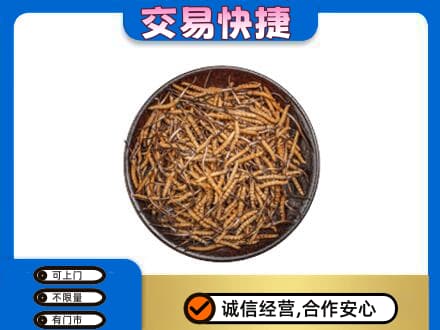 双鸭山礼品回收虫草.jpg